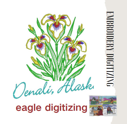 Embroidery Digitizing